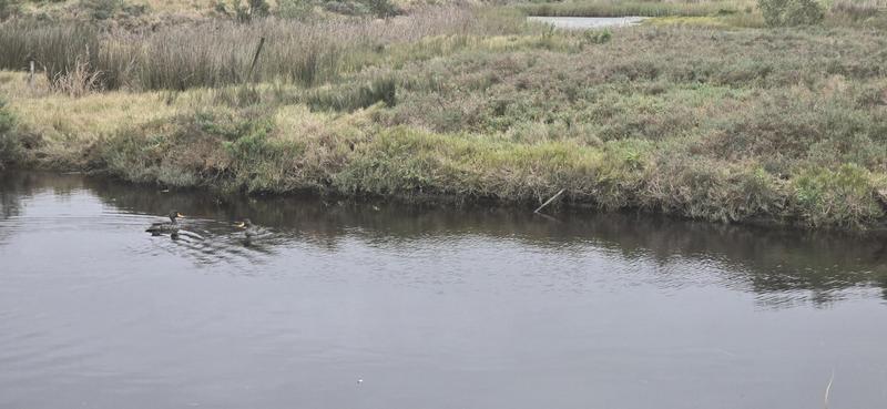 4 Bedroom Property for Sale in Klein Brak Western Cape